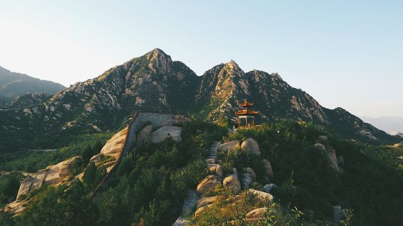 Portfolio Demo 8